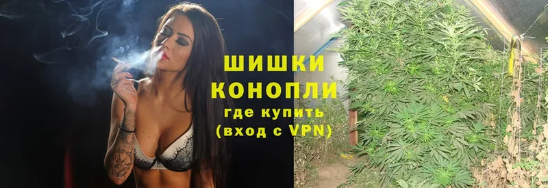 Бошки марихуана OG Kush  Вязники 